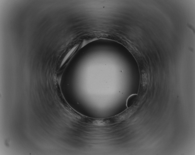 X0000097590613200803071322