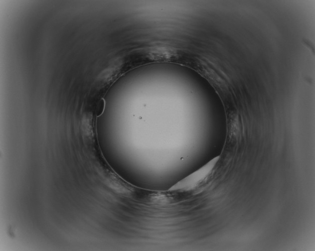 X0000097590616200803071322