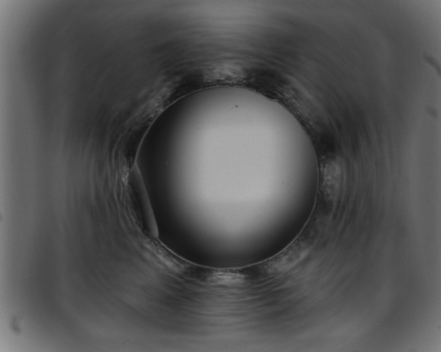 X0000097590617200803071322