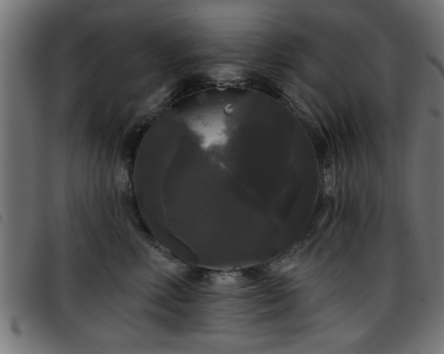 X0000097590618200803071322