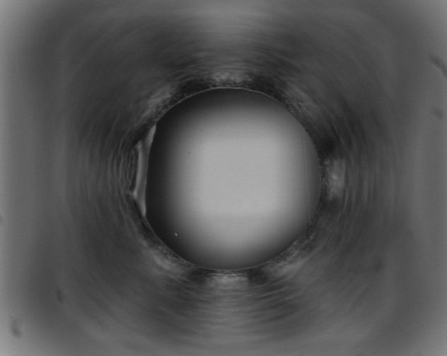 X0000097590619200803071322