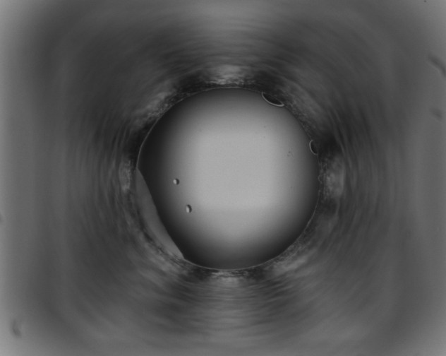 X0000097590620200803071322