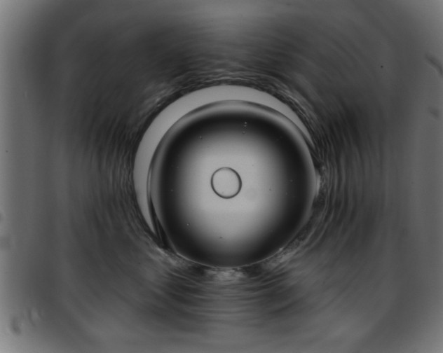 X0000097590621200803071322