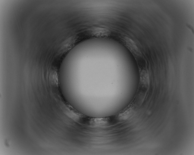 X0000097590622200803071322