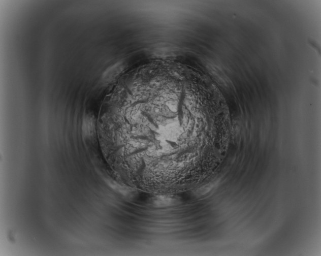 X0000097590623200803071322