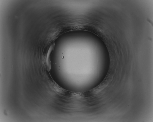 X0000097590624200803071322