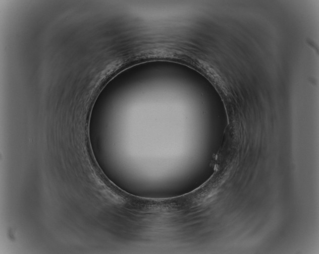 X0000097590625200803071321