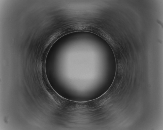 X0000097590626200803071321