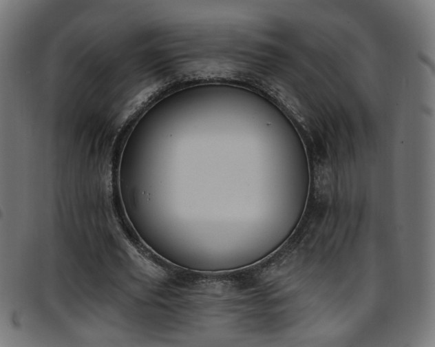 X0000097590629200803071321