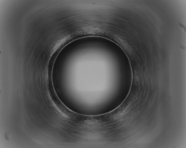 X0000097590630200803071321