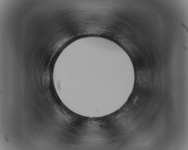 X0000097590632200803071321