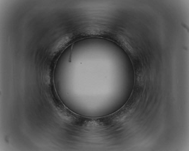 X0000097590635200803071321