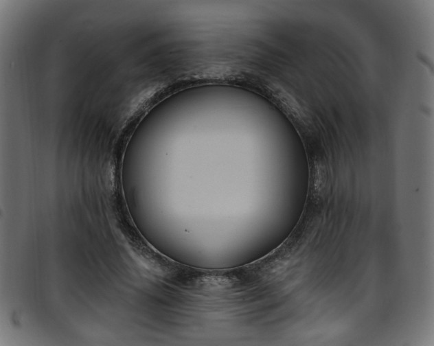 X0000097590636200803071321