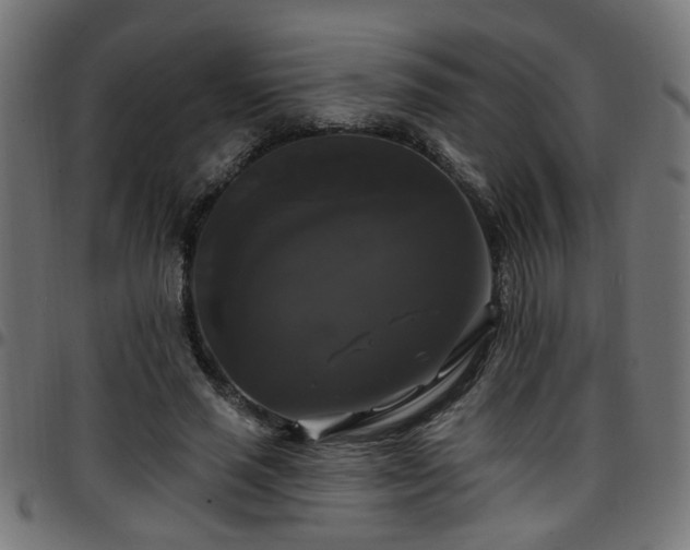 X0000097590637200803071321