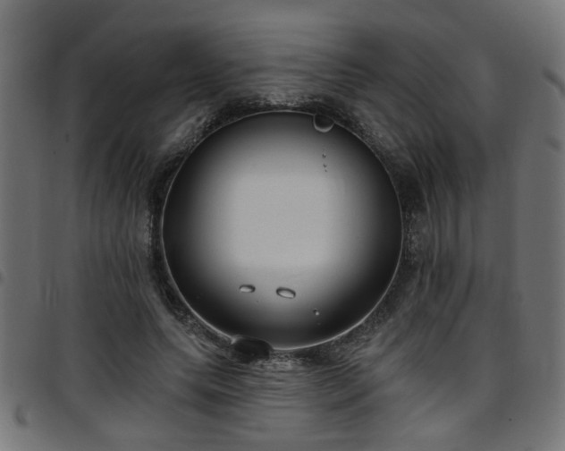 X0000097590639200803071321