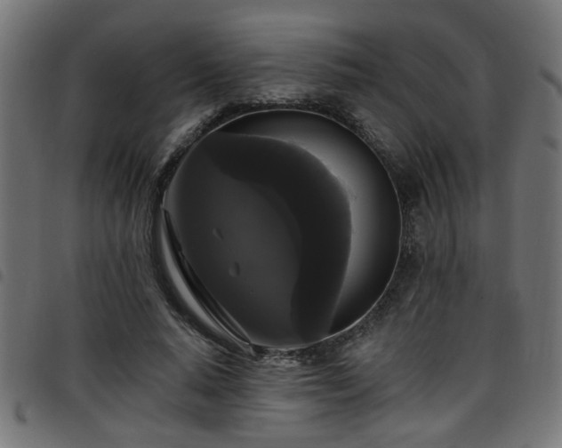 X0000097590640200803071321