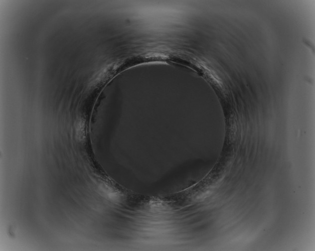 X0000097590641200803071321