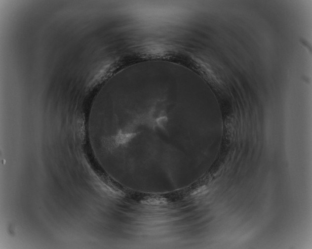 X0000097590642200803071321