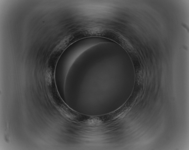 X0000097590644200803071321