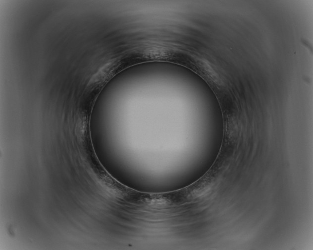 X0000097590645200803071321