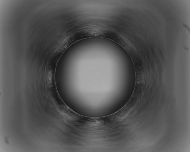 X0000097590646200803071321