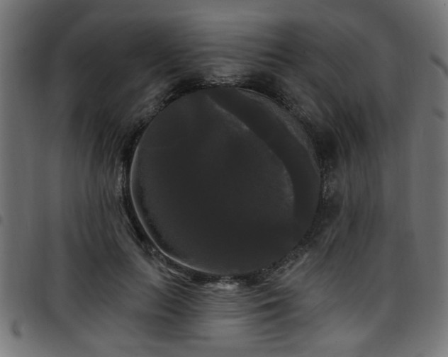 X0000097590647200803071321