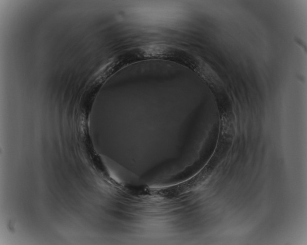 X0000097590648200803071321