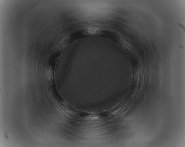 X0000097590651200803071322