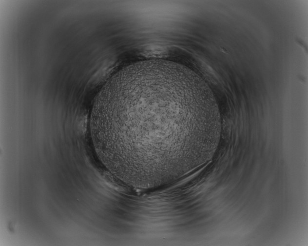 X0000097590652200803071322