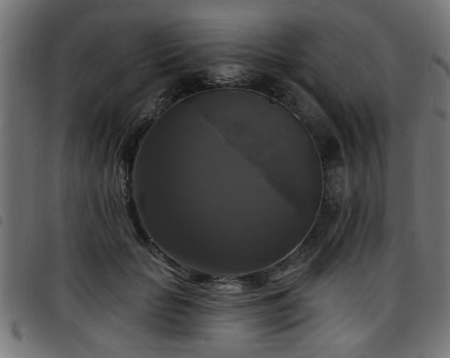 X0000097590653200803071322