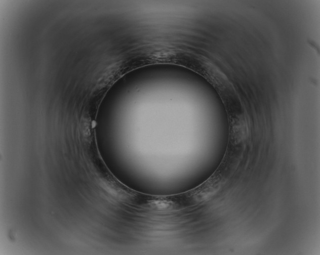 X0000097590654200803071322