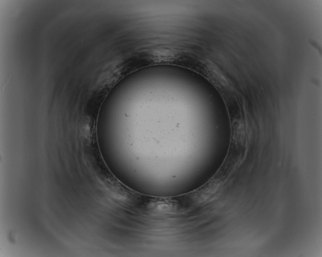 X0000097590655200803071322