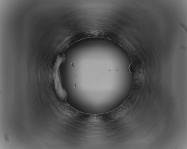 X0000097590656200803071322