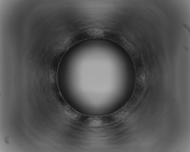 X0000097590658200803071322