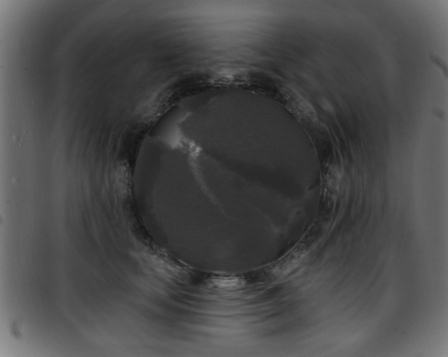 X0000097590659200803071322