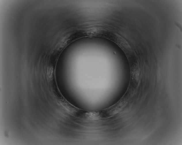 X0000097590660200803071322