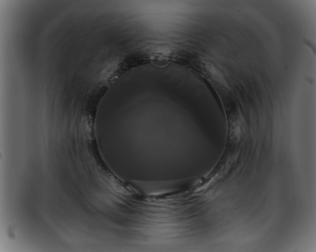 X0000097590661200803071322