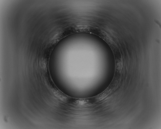 X0000097590662200803071322