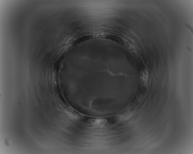 X0000097590663200803071322