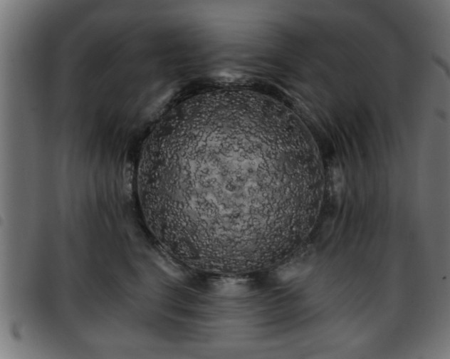 X0000097590664200803071322