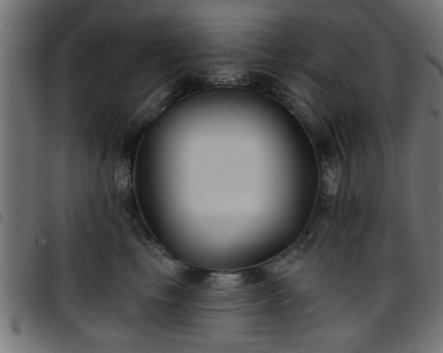 X0000097590665200803071322