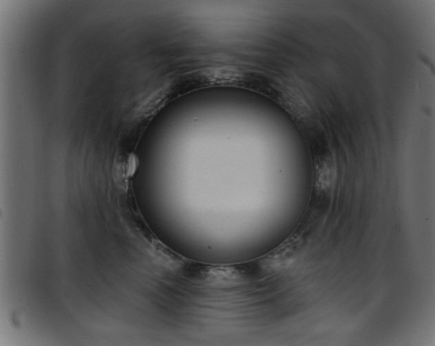 X0000097590666200803071322