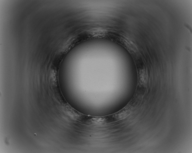 X0000097590667200803071322