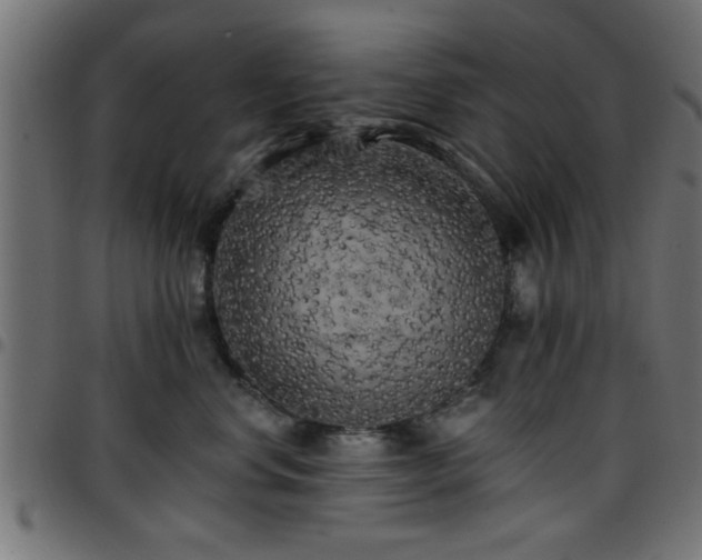 X0000097590668200803071322