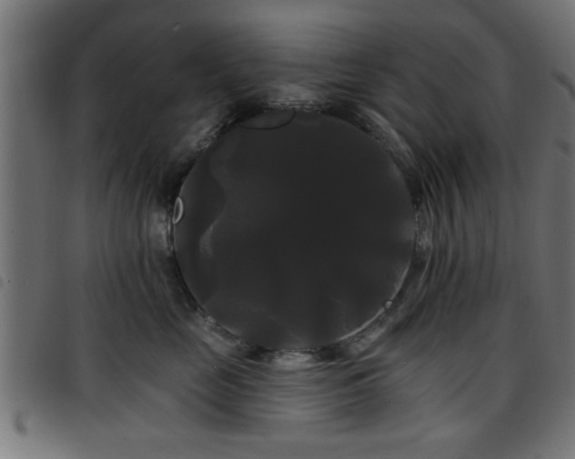 X0000097590669200803071322