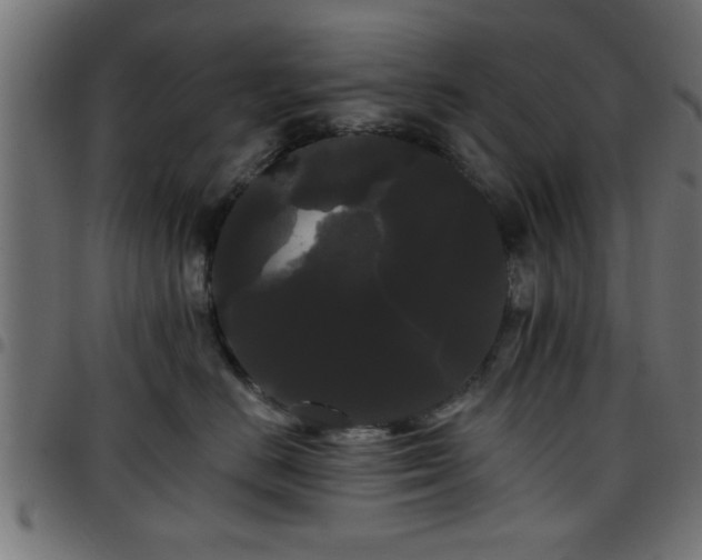 X0000097590670200803071322