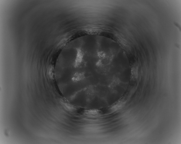 X0000097590671200803071322