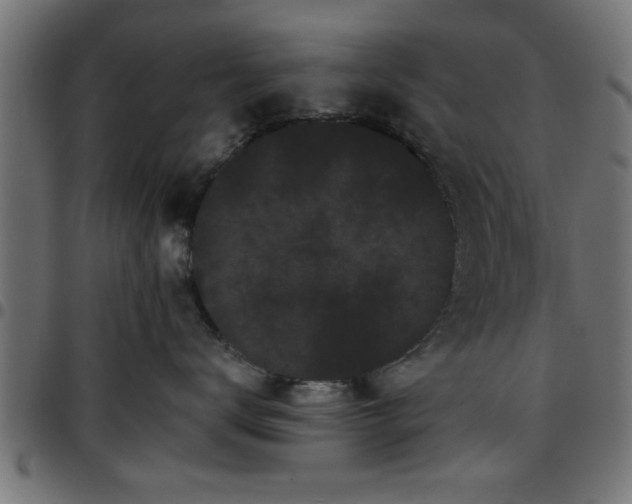 X0000097590672200803071322