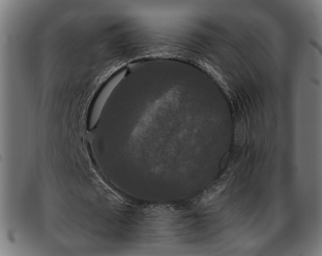 X0000097590673200803071321