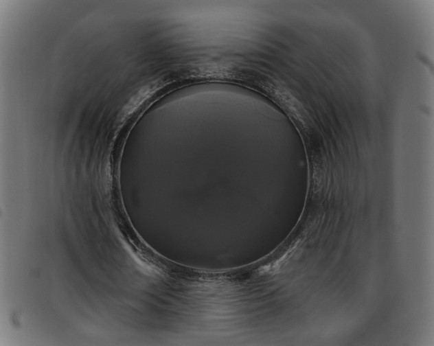 X0000097590674200803071321